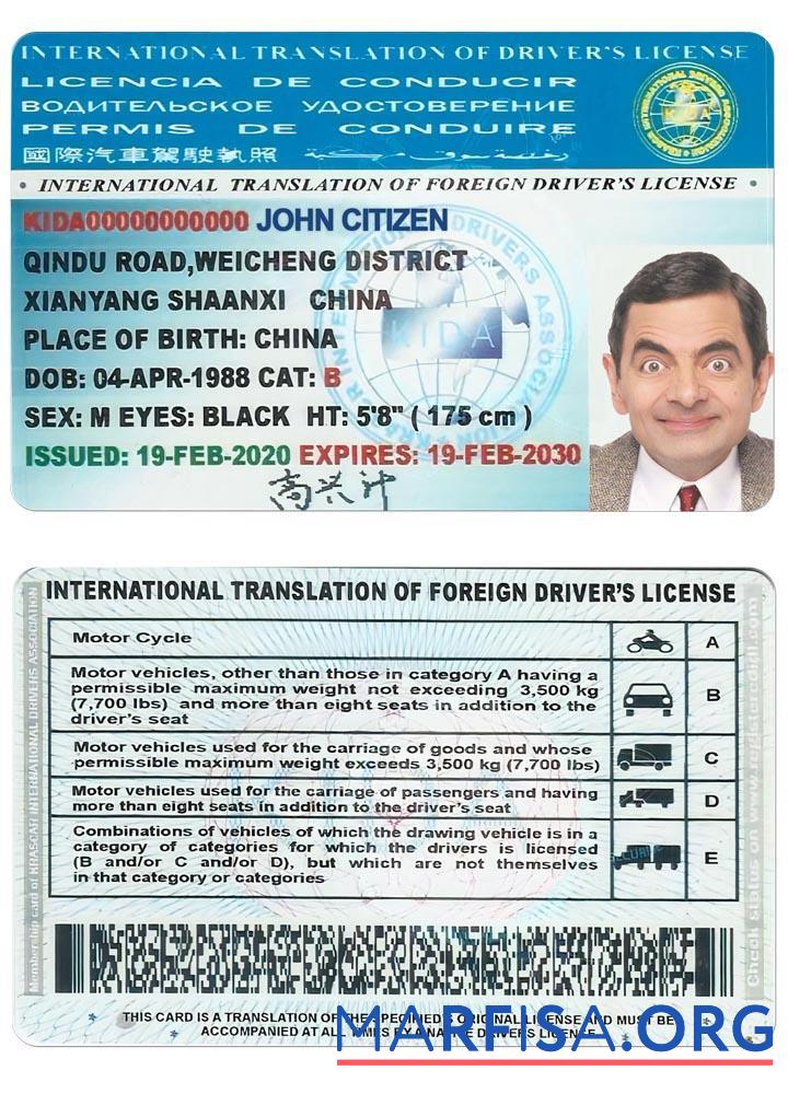 Downloadable International Translation of drivers license template